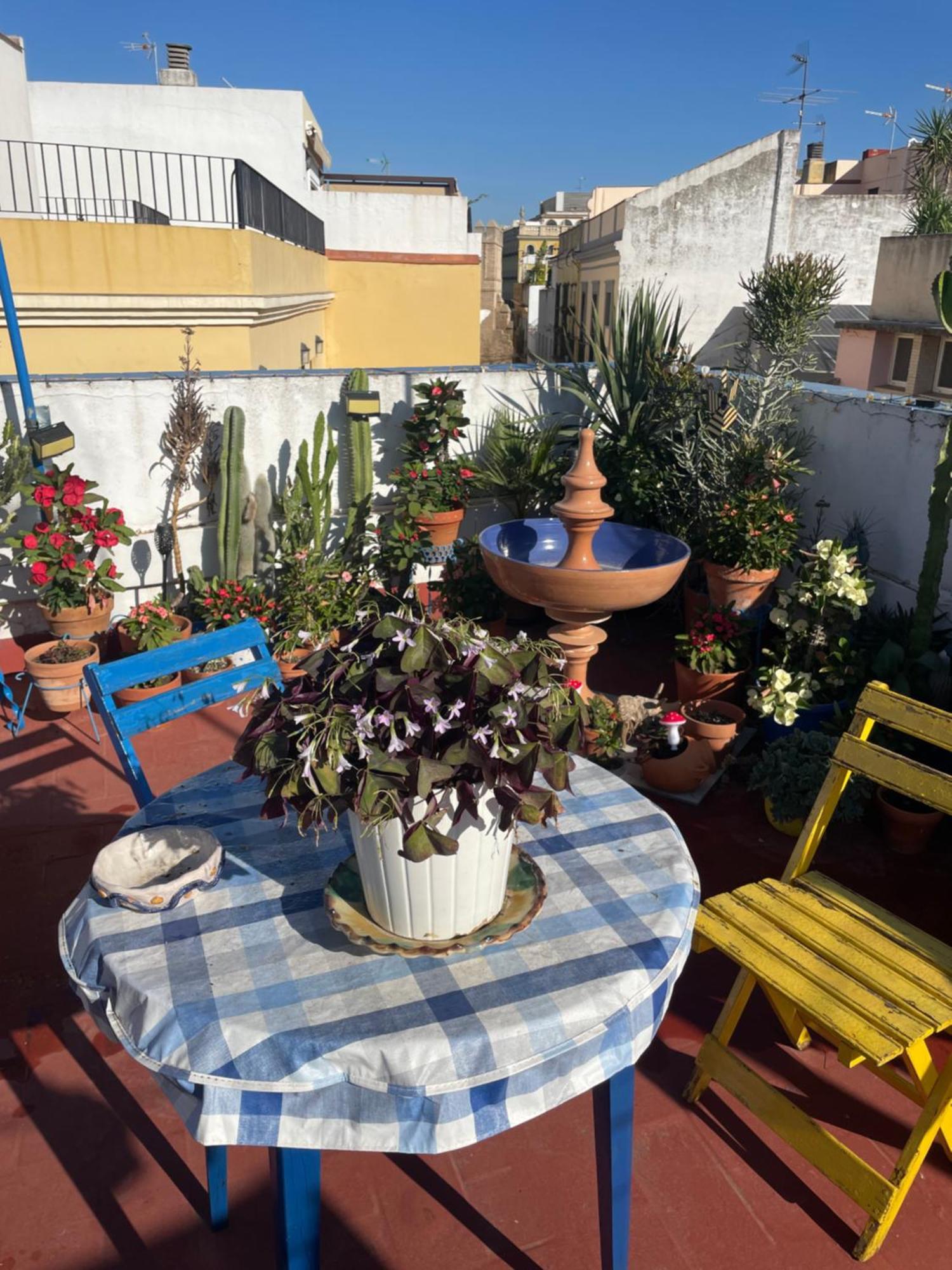 Ferienwohnung Arco Macarena Sevilla Exterior foto